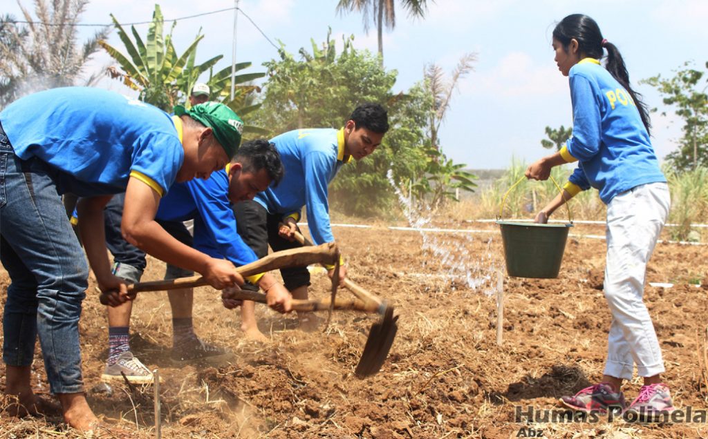 Program Studi Produksi Tanaman Perkebunan