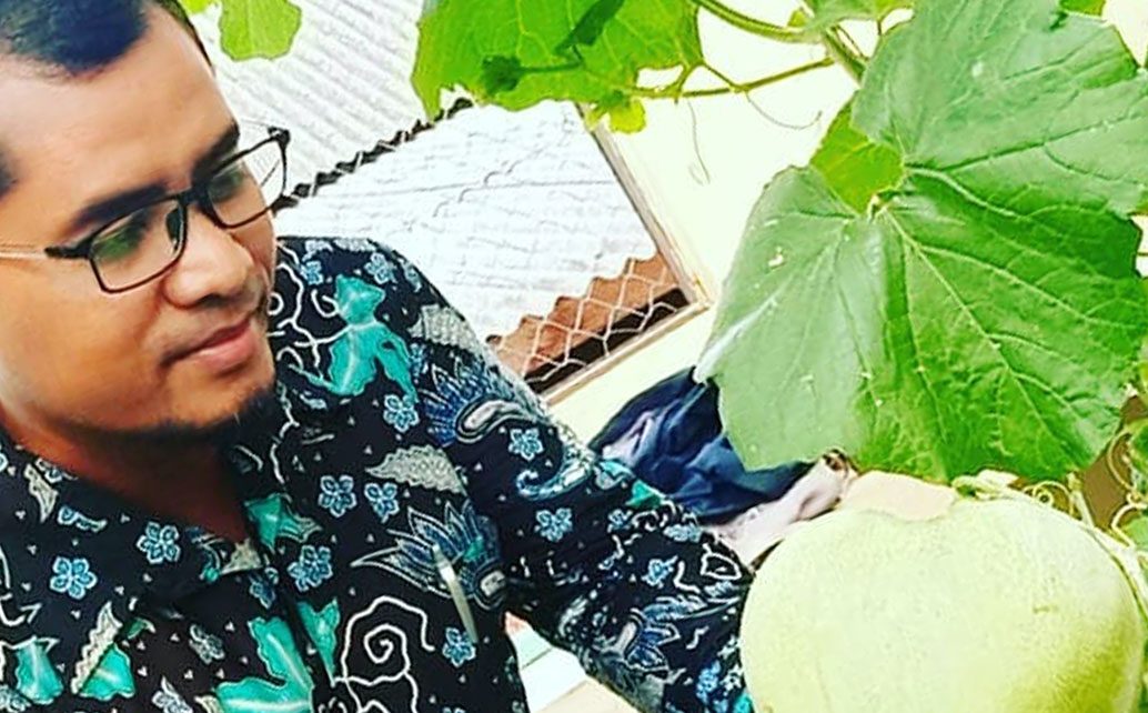 Seed Teaching Farm (Stefa) Politeknik Negeri Lampung