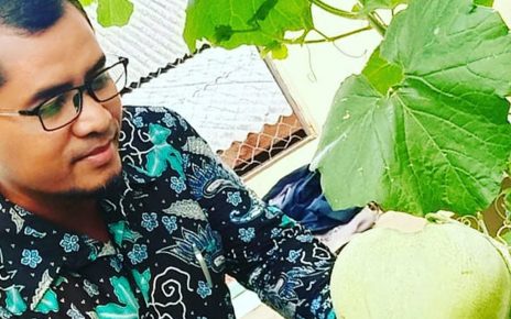 Seed Teaching Farm (Stefa) Politeknik Negeri Lampung