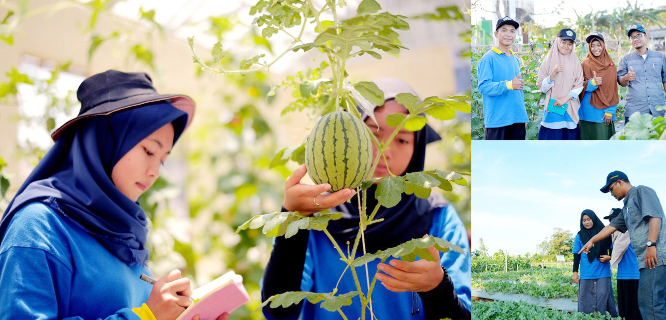 Seed Teaching Farm Politeknik Negeri Lampung