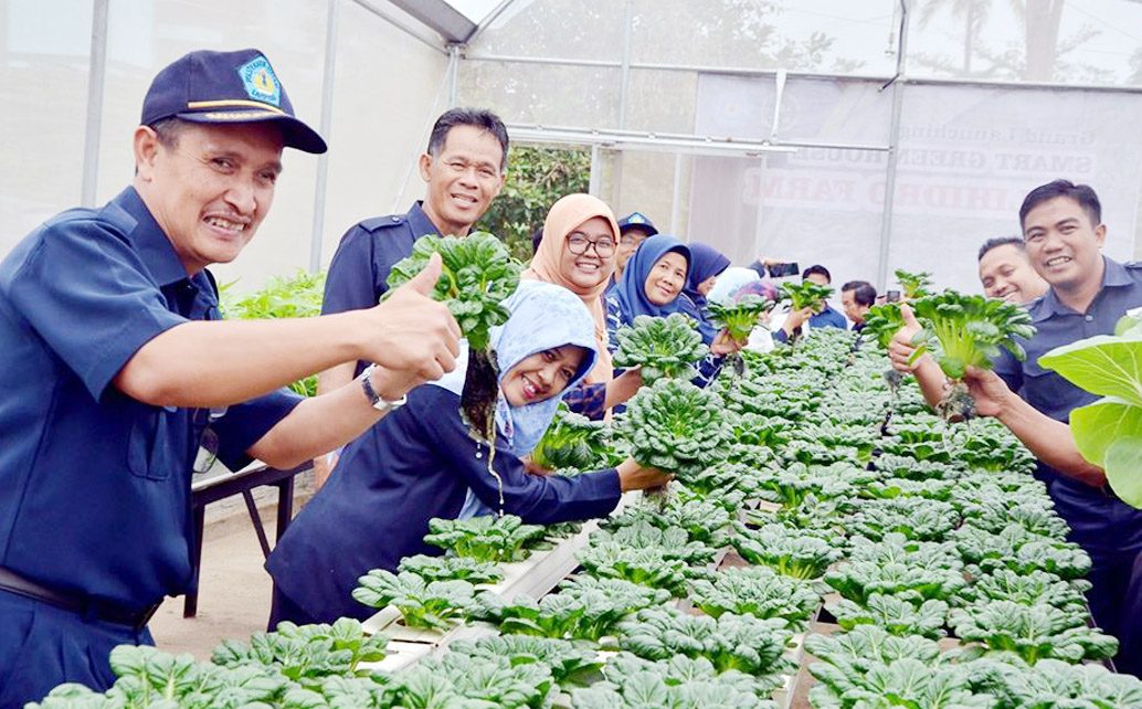 Smart Green House Polihidro Farm Politeknik Negeri Lampung