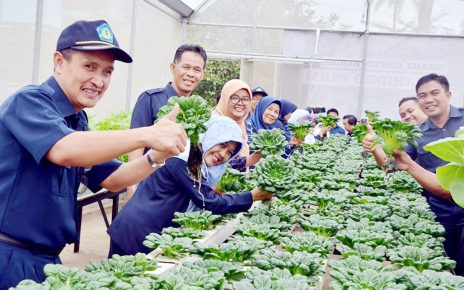 Smart Green House Polihidro Farm Politeknik Negeri Lampung