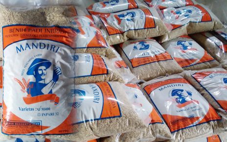 Program Studi D4 Teknologi Perbenihan Memproduksi Benih Padi Bersertifikat