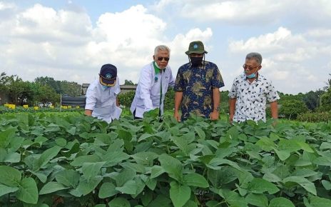 Politeknik Negeri Lampung Siap Kawal Pengembangan Edamame di Lampung