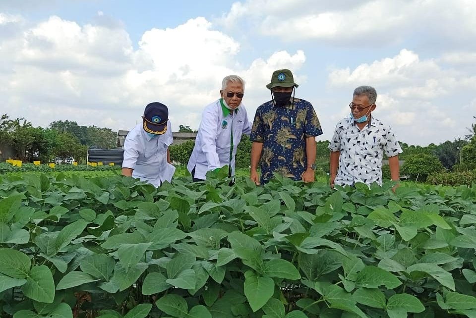 Politeknik Negeri Lampung Siap Kawal Pengembangan Edamame di Lampung