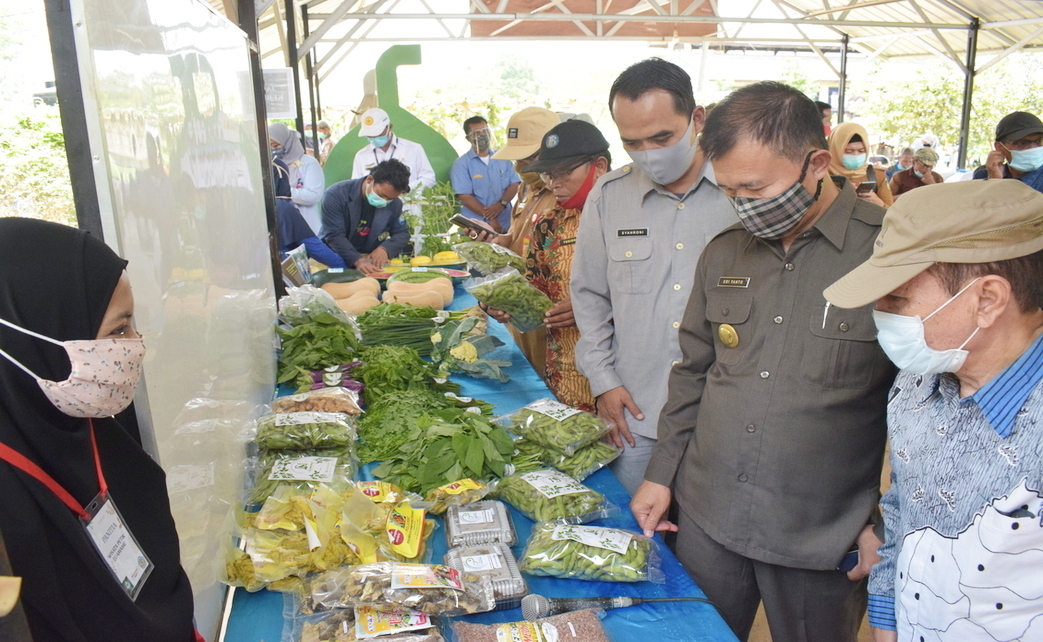OPEN HOUSE DAN PANEN EDAMAME DI AGROWISATA POLINELA