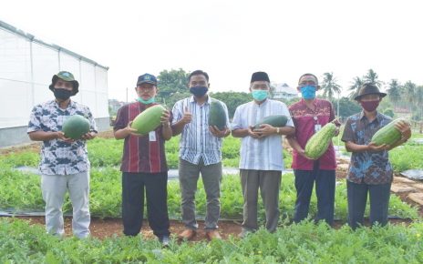 PENINJAUAN DAN PANEN SEMANGKA POLITEKNIK NEGERI LAMPUNG