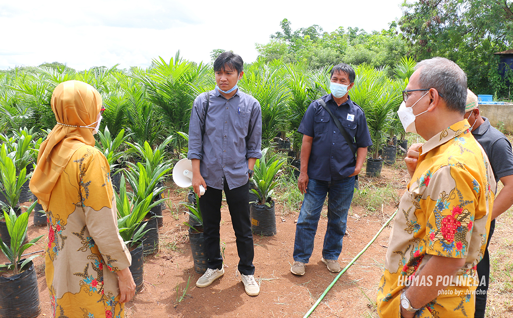 Kunjungan Senat Politeknik Negeri Jakarta Ke Unit Pembibitan Kelapa Sawit Polinela