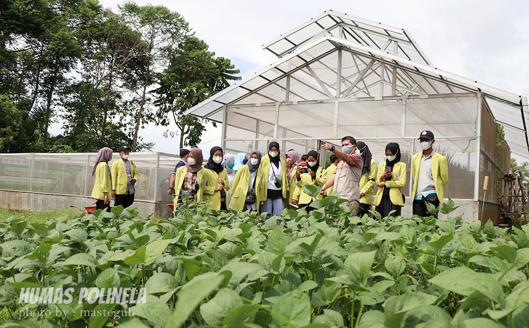 Polinela_Mahasiswa Agroteknologi ANMURA Kunjungi Polinela