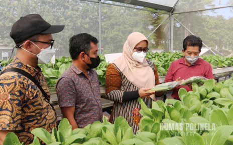 polinela_kunjungan_ggp_3