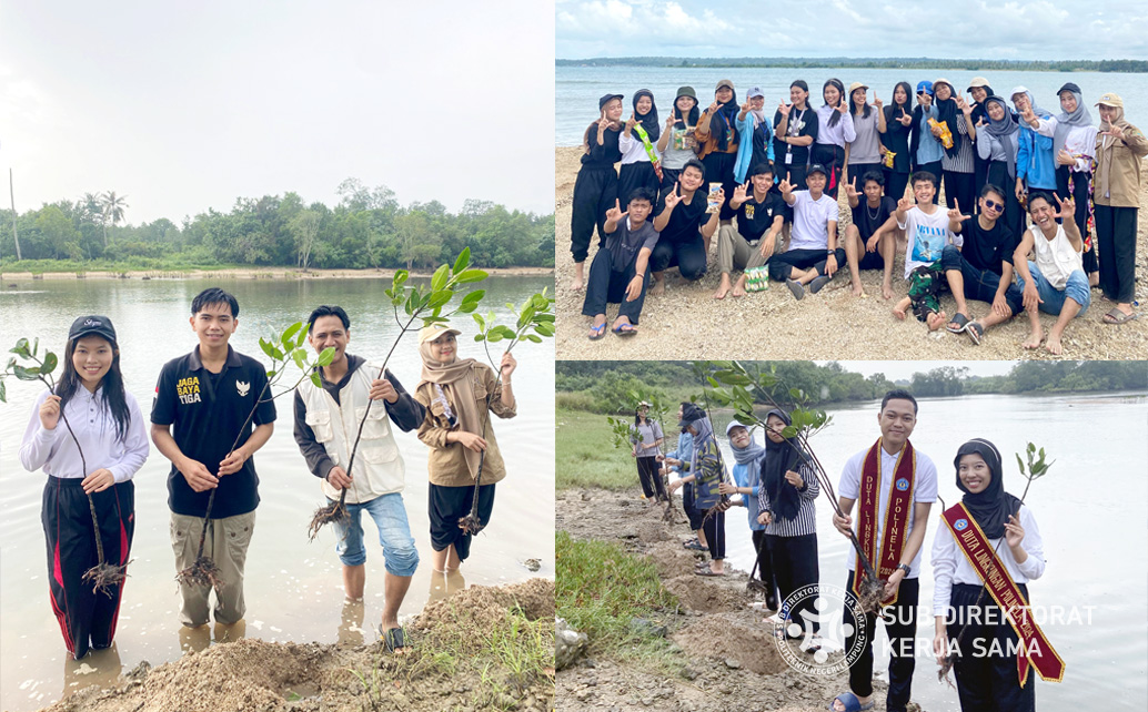 Mahasiswa Perjalanan Wisata Tanam Pohon Bakau di Lampung Selatan