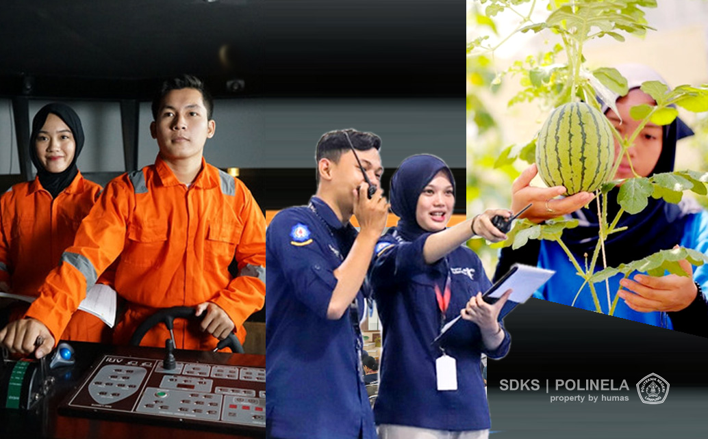 prodi di polinela sepi peminat di snbp 2025, peluang besar di SNBT-UTBK 2025